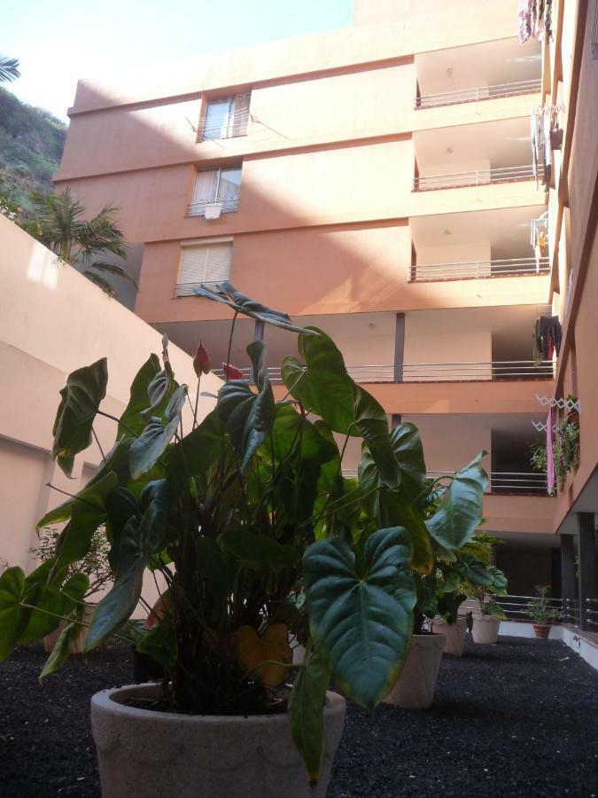 Apartamento Martianez Puerto de la Cruz  Exterior foto