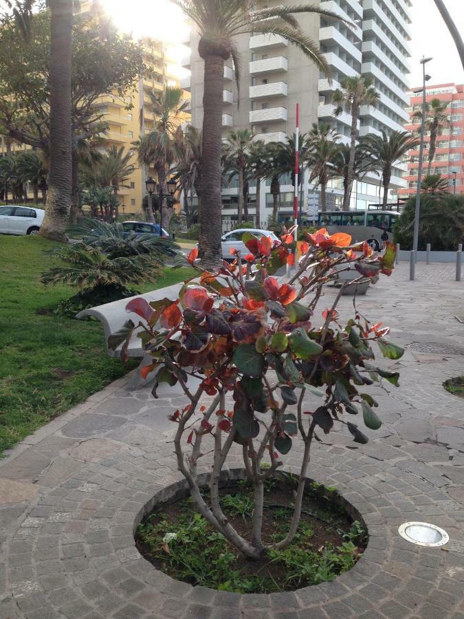 Apartamento Martianez Puerto de la Cruz  Exterior foto